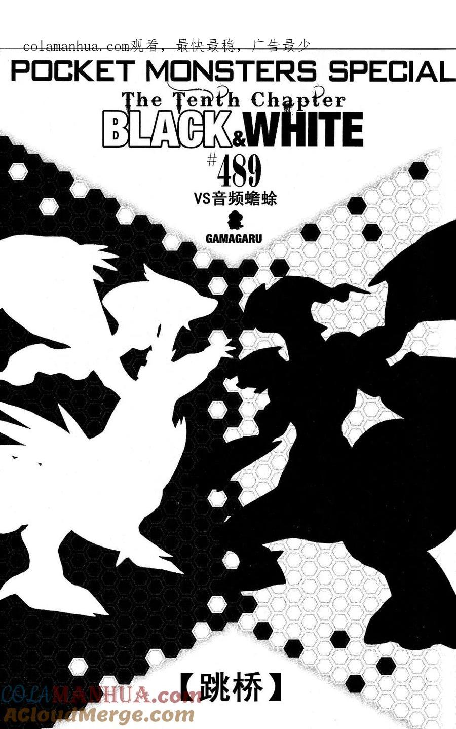 神奇宝贝特別篇 - 第489话 - 第1张图