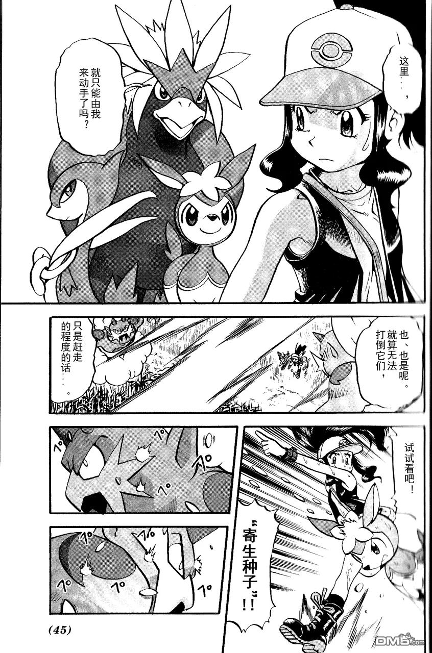 神奇宝贝特別篇 - 第490话 VS雷风の妖♂精 - 第12张图