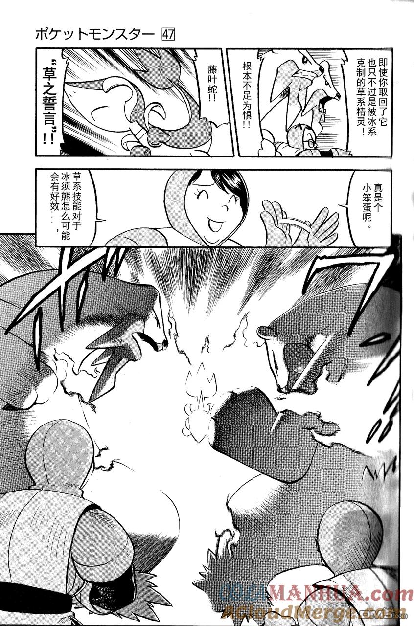 神奇宝贝特別篇 - 第491话 VS小甜筒 - 第19张图