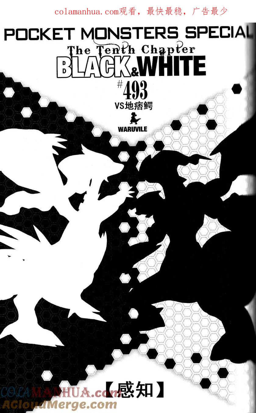 神奇宝贝特別篇 - 第493话 vs.地痞鳄 - 第1张图