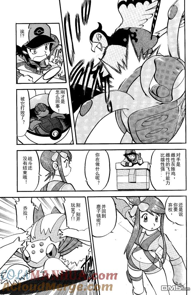 神奇宝贝特別篇 - 第495话 VS白湾天鹅 - 第11张图