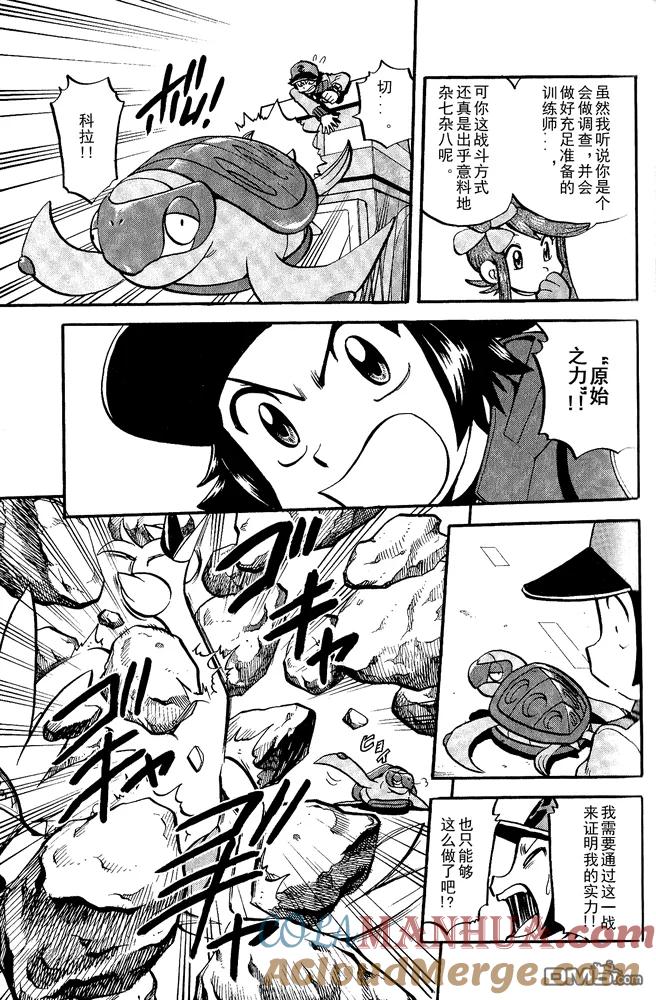 神奇宝贝特別篇 - 第495话 VS白湾天鹅 - 第9张图