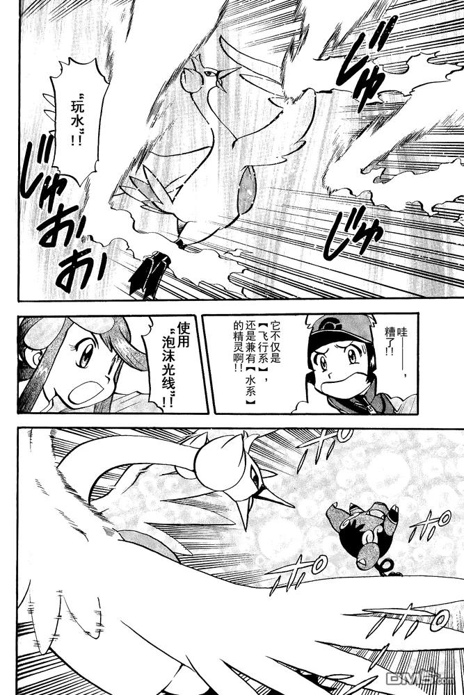 神奇宝贝特別篇 - 第495话 VS白湾天鹅 - 第8张图