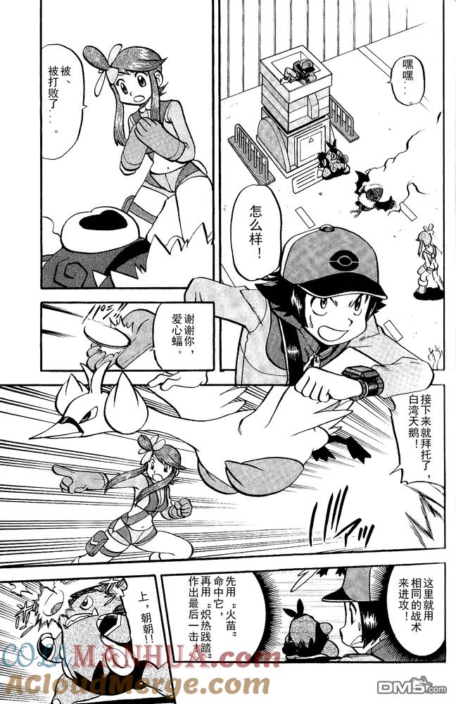 神奇宝贝特別篇 - 第495话 VS白湾天鹅 - 第7张图