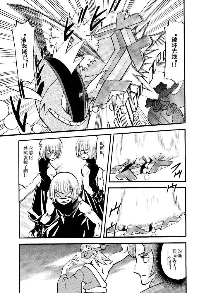 神奇宝贝特別篇 - 第496话 VS托鲁涅罗斯·波尓特罗斯·兰德罗斯I - 第12张图