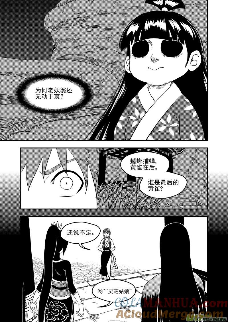 虎x鹤 妖师录 187 蝉与黄雀（下） 第13页