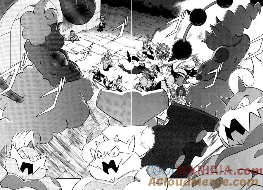 神奇宝贝特別篇 - 第496话 VS托鲁涅罗斯·波尓特罗斯·兰德罗斯I - 第17张图