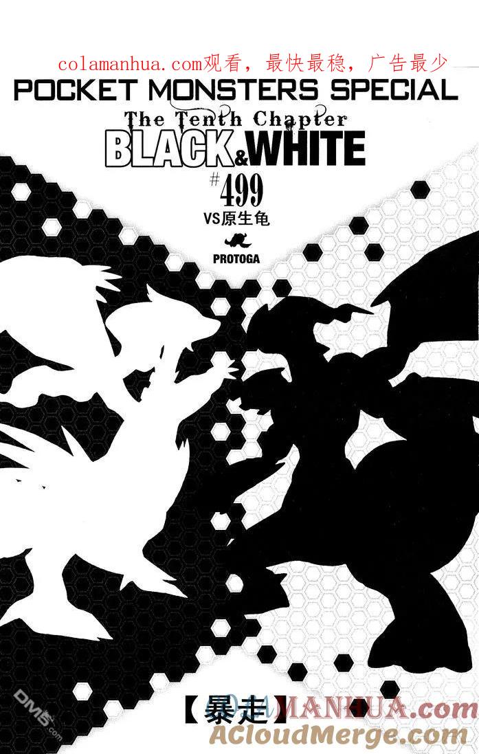 神奇宝贝特別篇 - 第499话 VS原生龟 - 第1张图