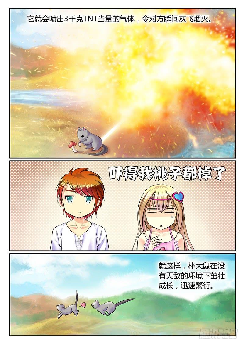 3.jpg