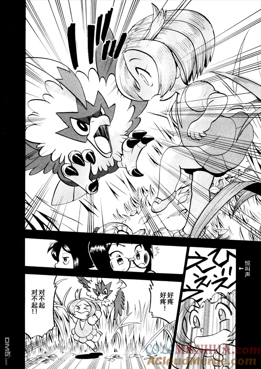 神奇宝贝特別篇 - 第502话 VS幼猎鹰 - 第19张图