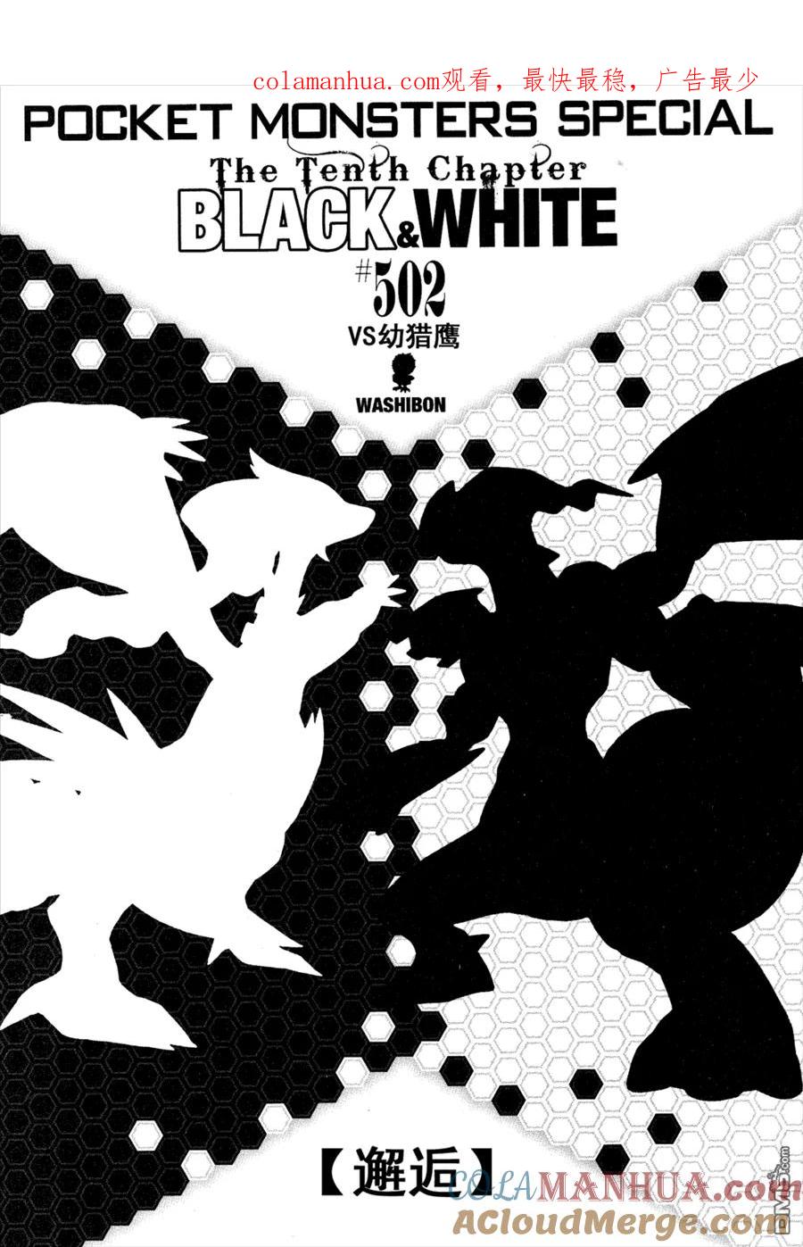 神奇宝贝特別篇 - 第502话 VS幼猎鹰 - 第1张图