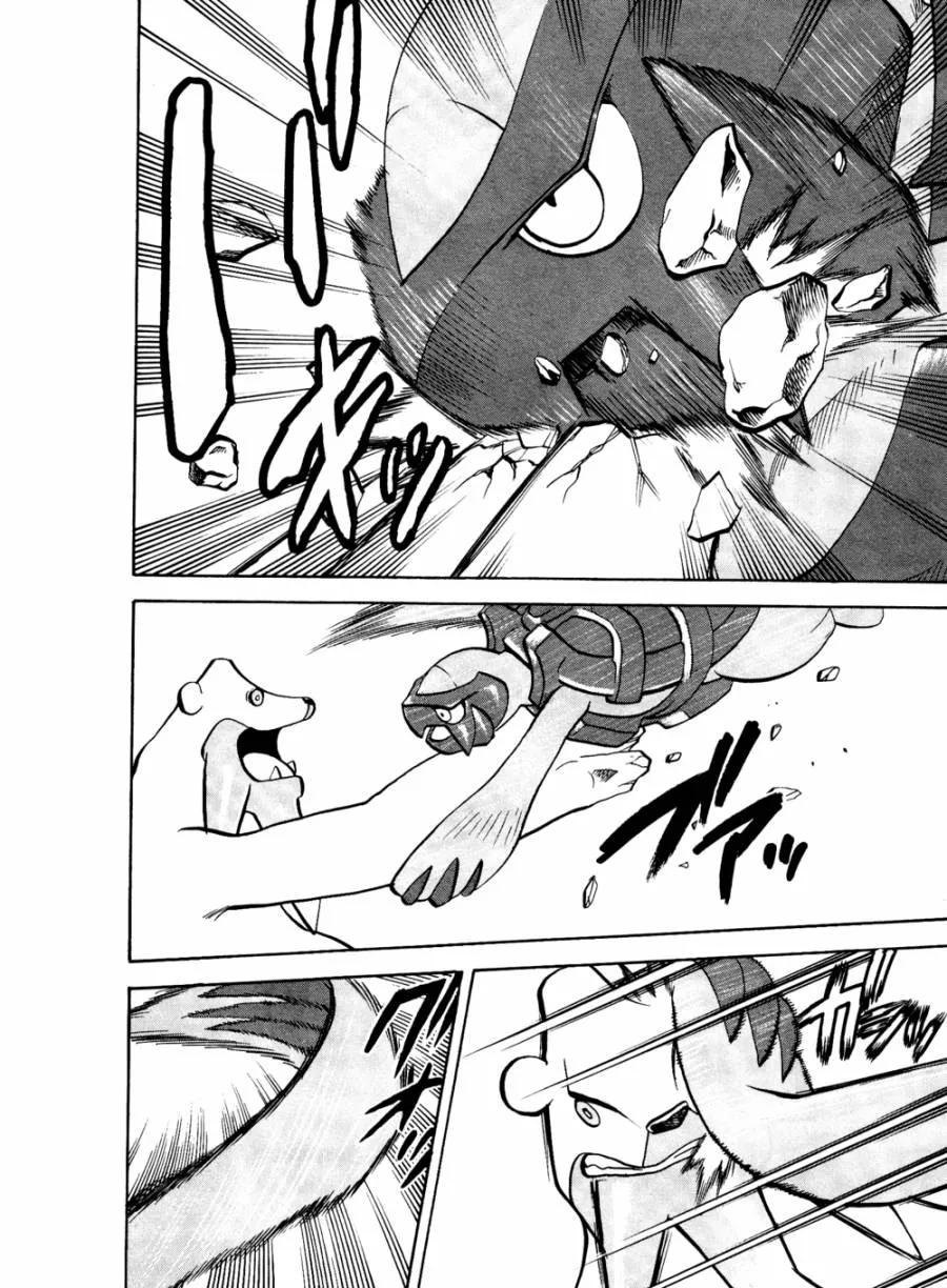 神奇宝贝特別篇 - 第505话 vs冰须熊 - 第20张图