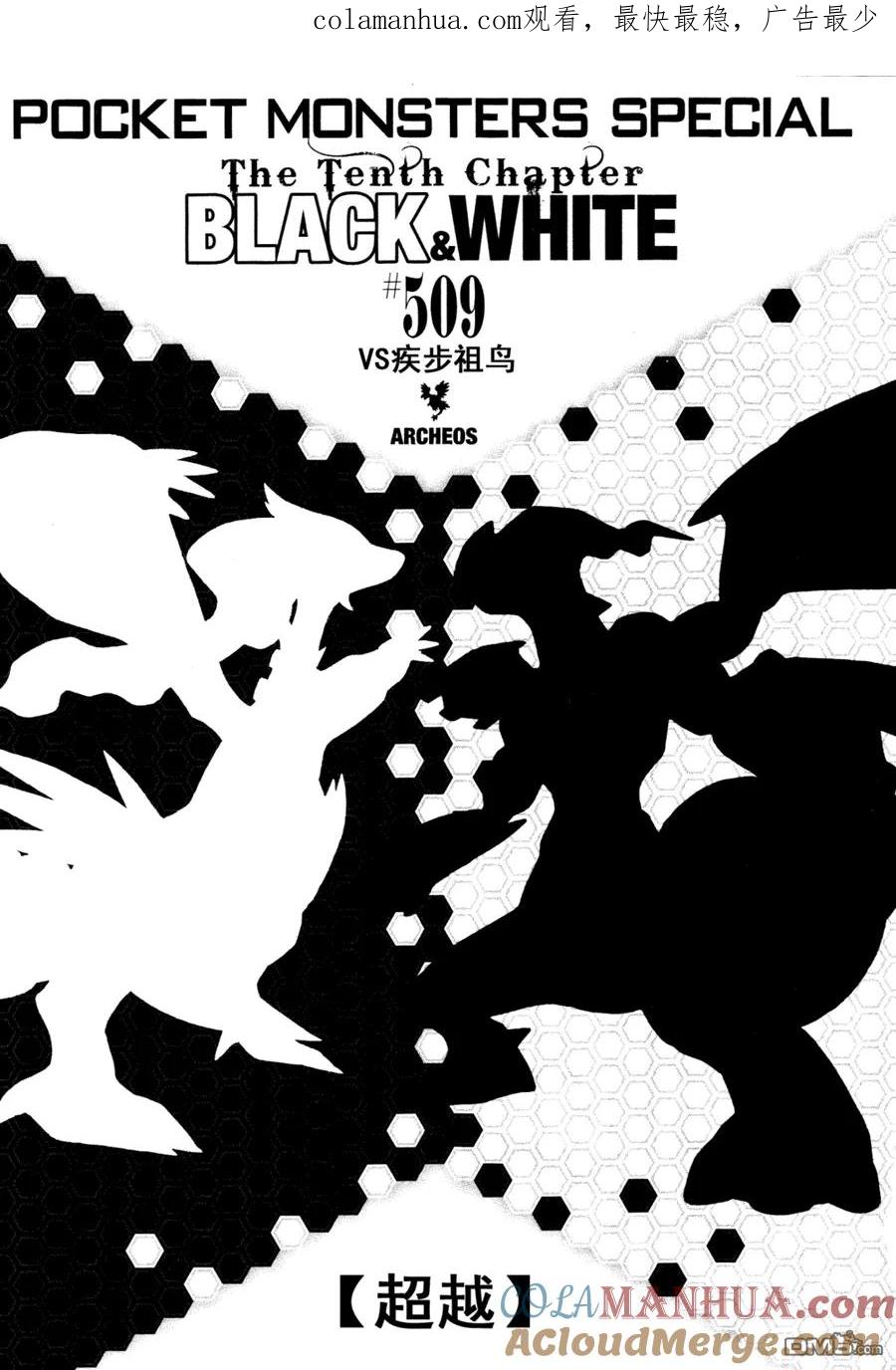 神奇宝贝特別篇 - 第509话 vs疾步祖鸟 - 第1张图