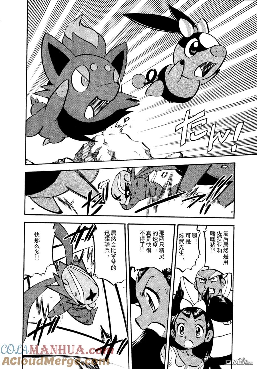 神奇宝贝特別篇 - 第509话 vs疾步祖鸟 - 第11张图