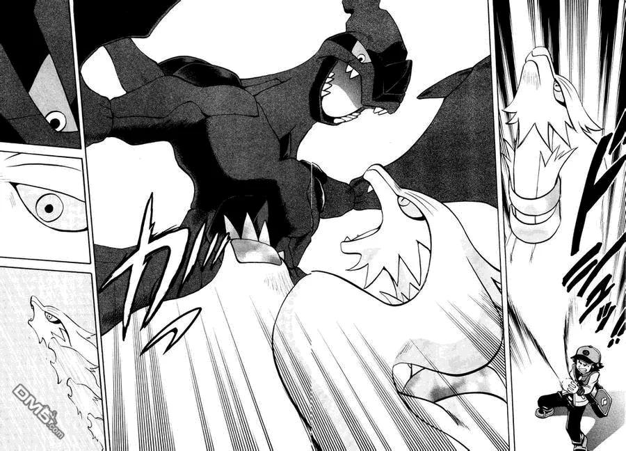 神奇宝贝特別篇 - 第509话 vs疾步祖鸟 - 第8张图