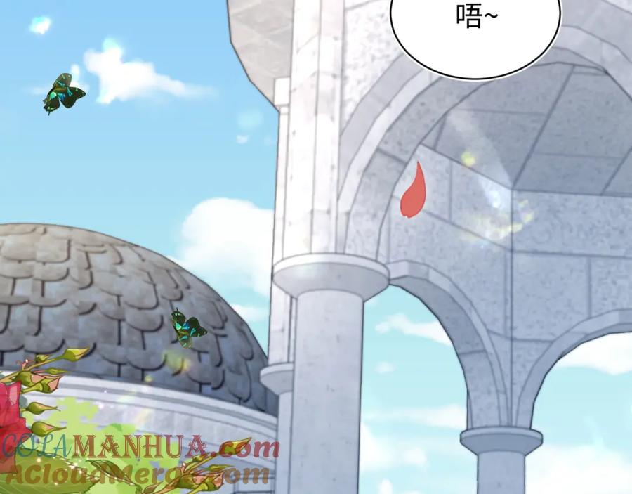 【快穿】绝美白莲在线教学 233花园里没人看见 第49页