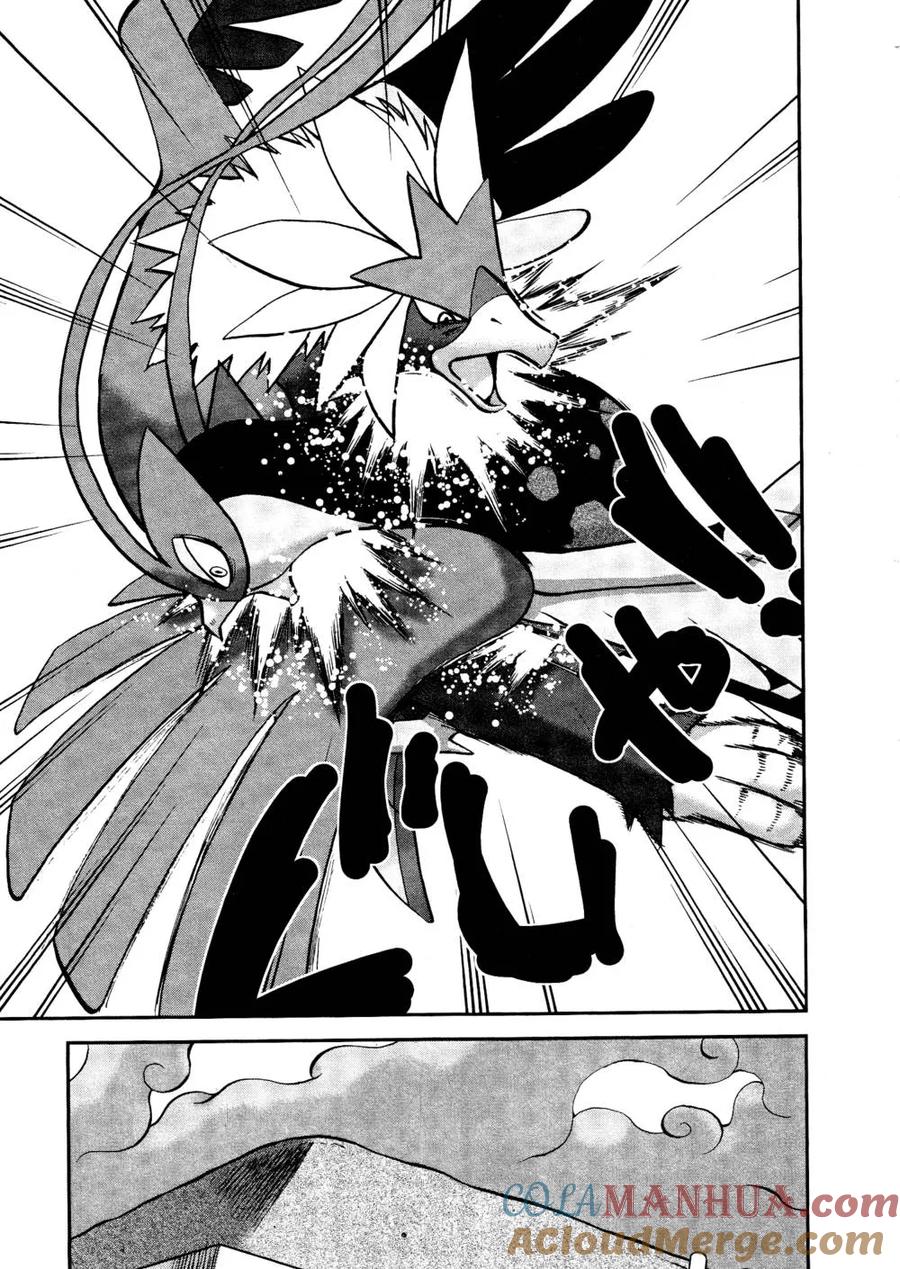 神奇宝贝特別篇 - 第518话 vs灰雉鸡 - 第21张图