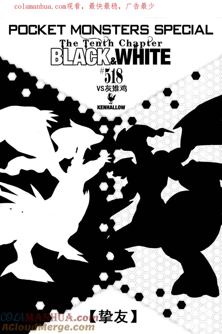 神奇宝贝特別篇 - 第518话 vs灰雉鸡 - 第1张图