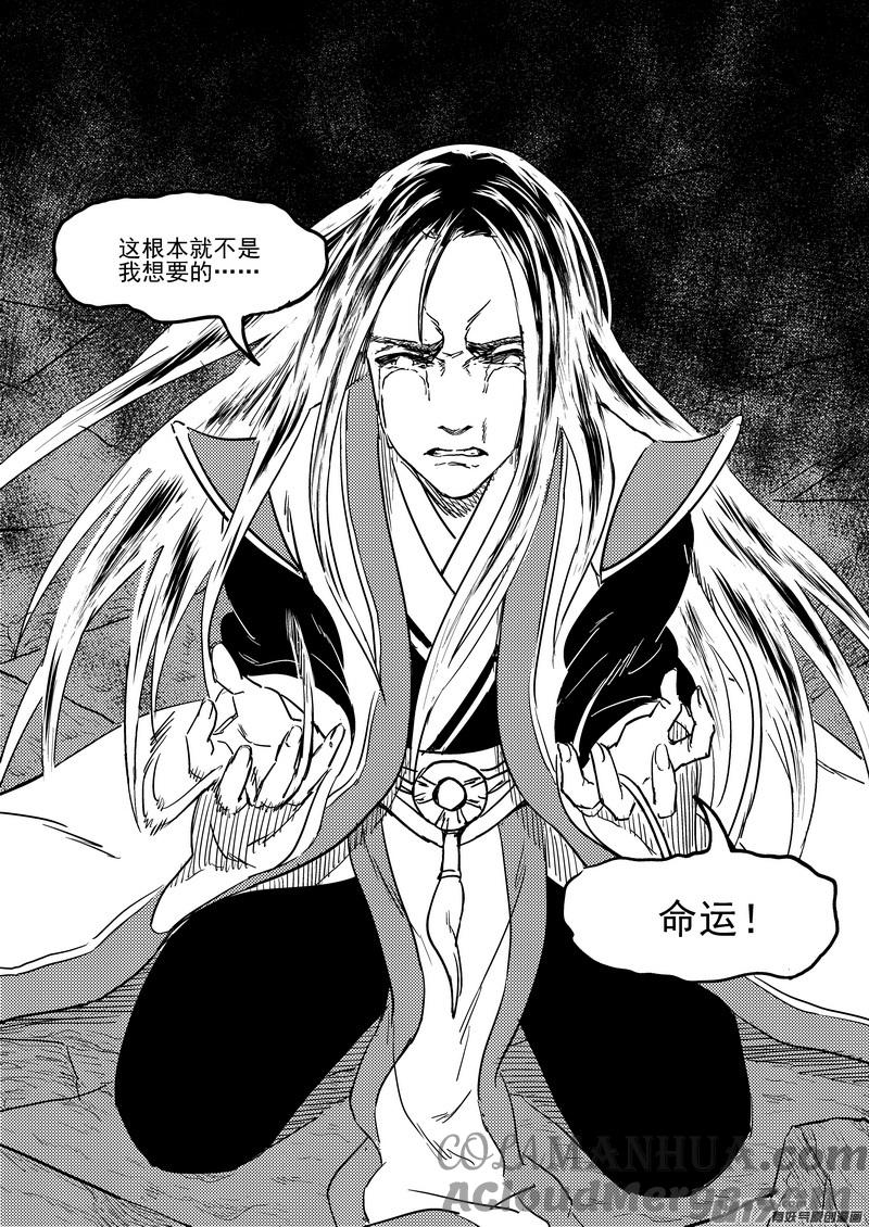 虎x鹤 妖师录 233（a） 崩坏 第5页