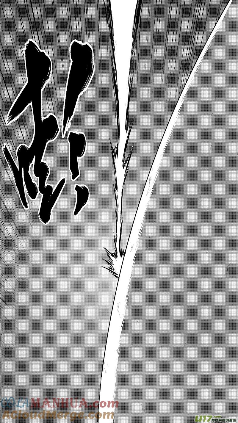 虎x鹤 妖师录 236 本体真身？ 第13页