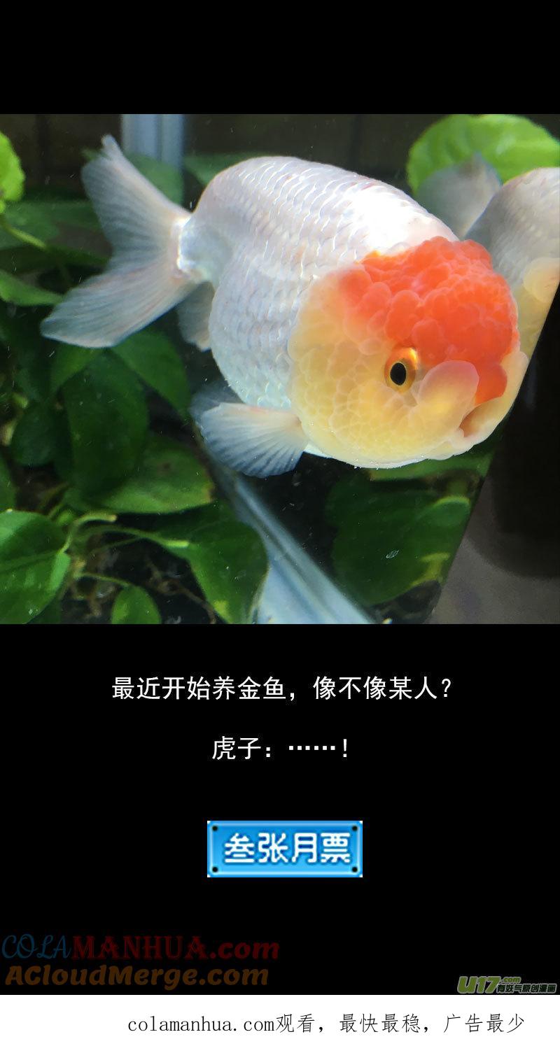 虎x鹤 妖师录 240 会合 第15页