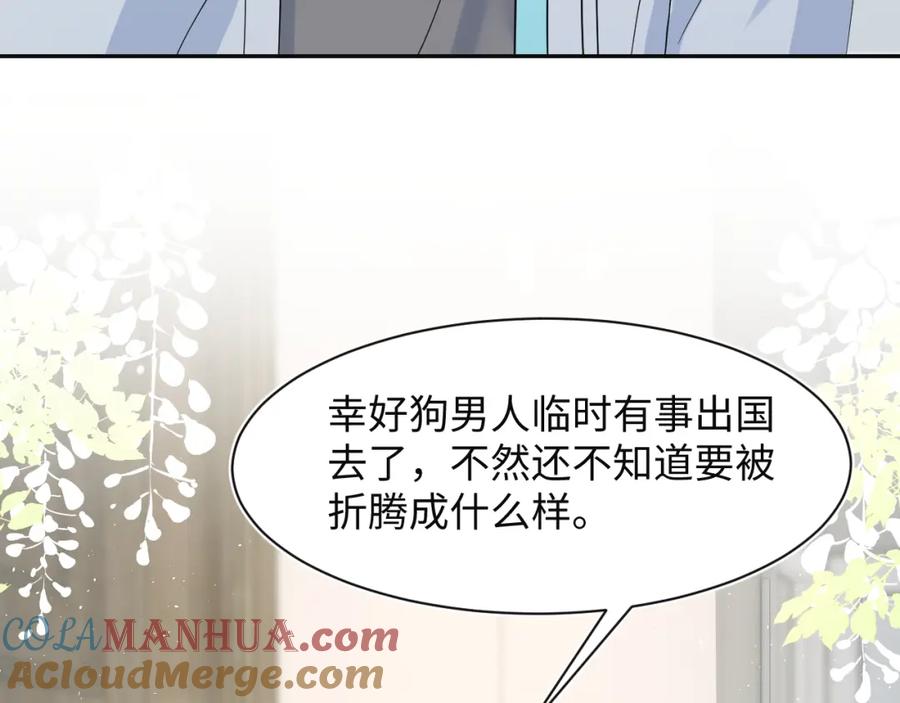 【快穿】绝美白莲在线教学 279 一个亿一颗的草莓 第77页