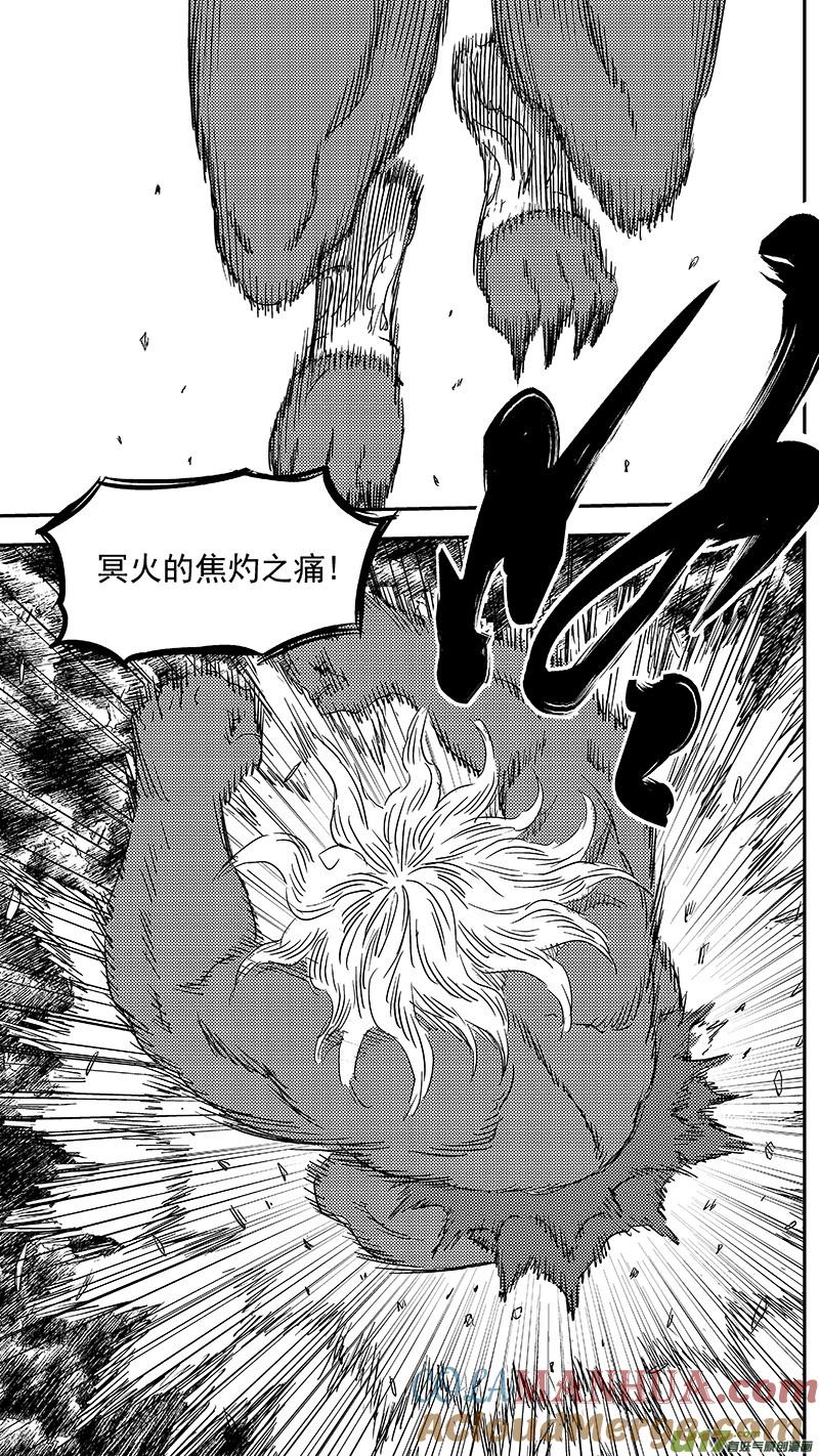 虎x鹤 妖师录 245 绝望（下） 第19页