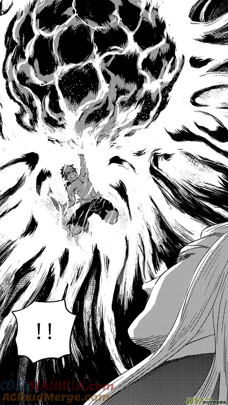 虎x鹤 妖师录 251 炎与虎子 第17页