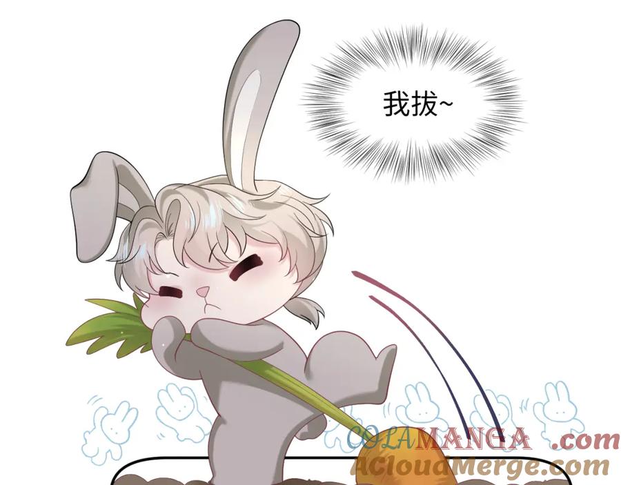【快穿】绝美白莲在线教学 288 我只是路过的 第7页