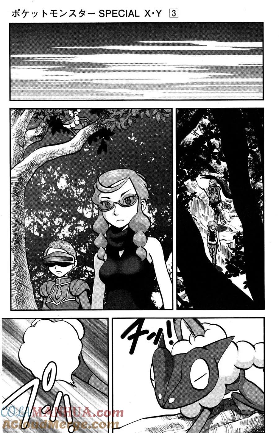 神奇宝贝特別篇 - 第29话 XY篇18 - 第17张图