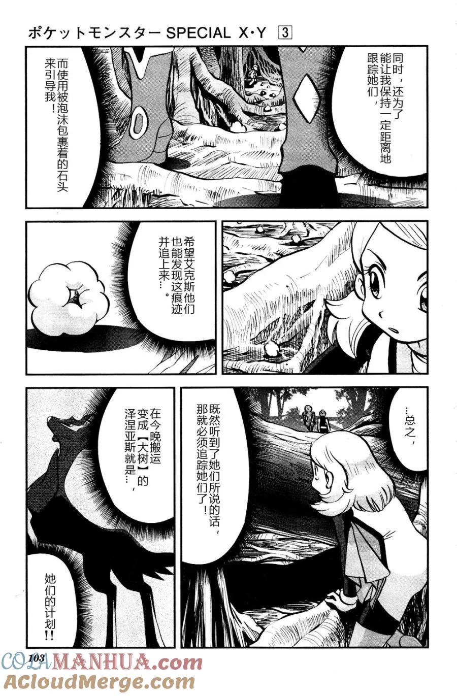 神奇宝贝特別篇 - 第29话 XY篇18 - 第19张图