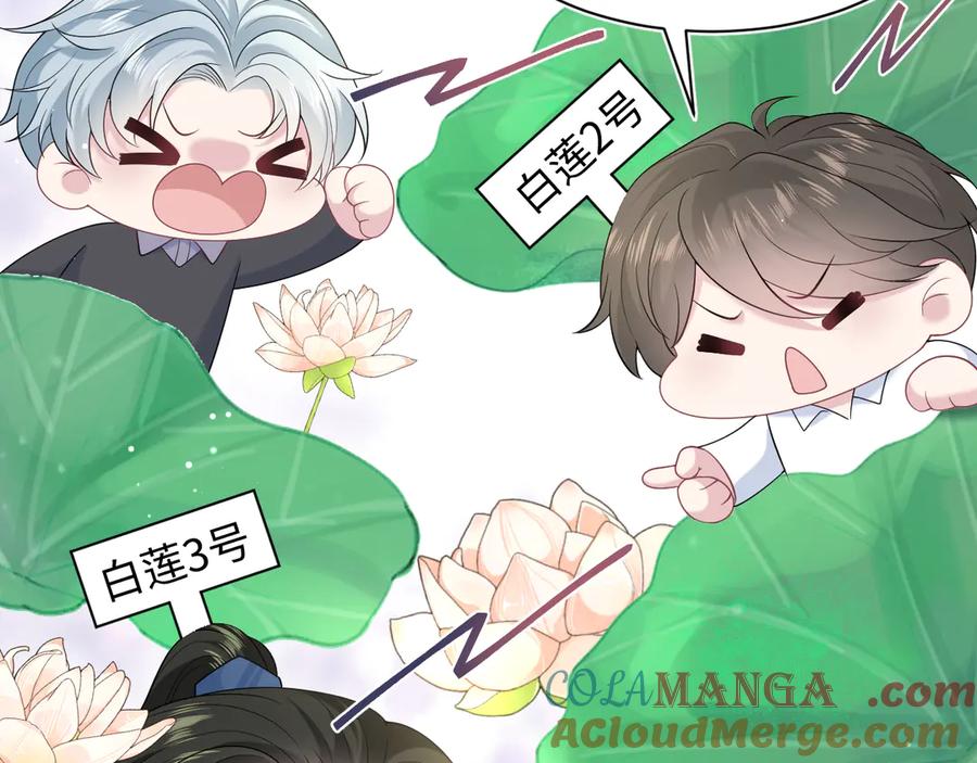 【快穿】绝美白莲在线教学 294 绝艳莫仙君 第19页