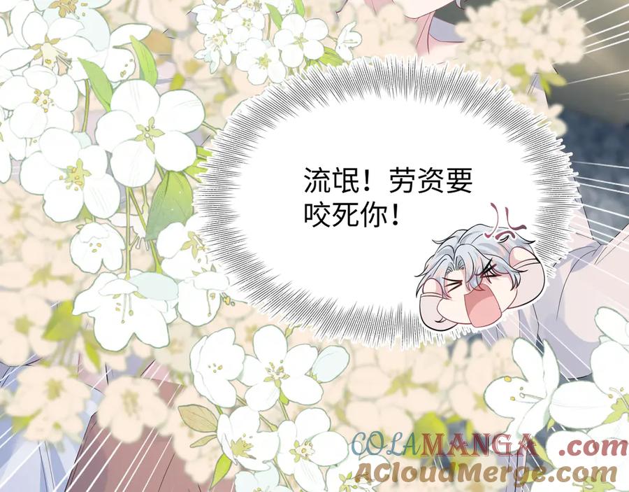 【快穿】绝美白莲在线教学 323 老熟人登场 第97页