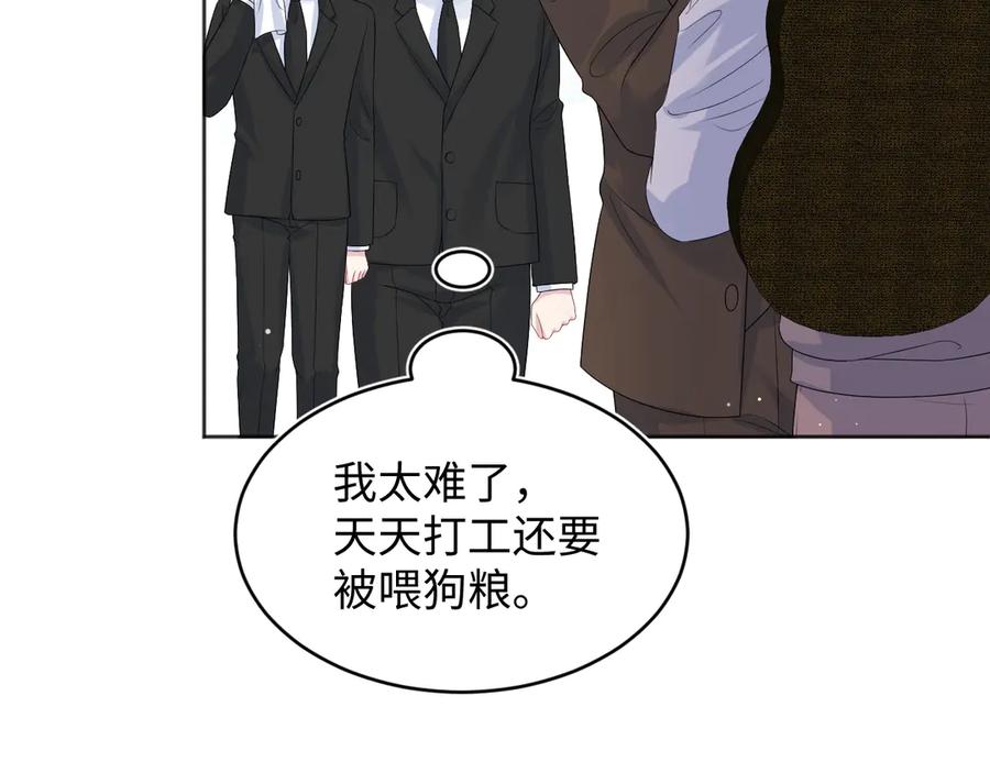 【快穿】绝美白莲在线教学 350 夕阳下的乐章 第36页