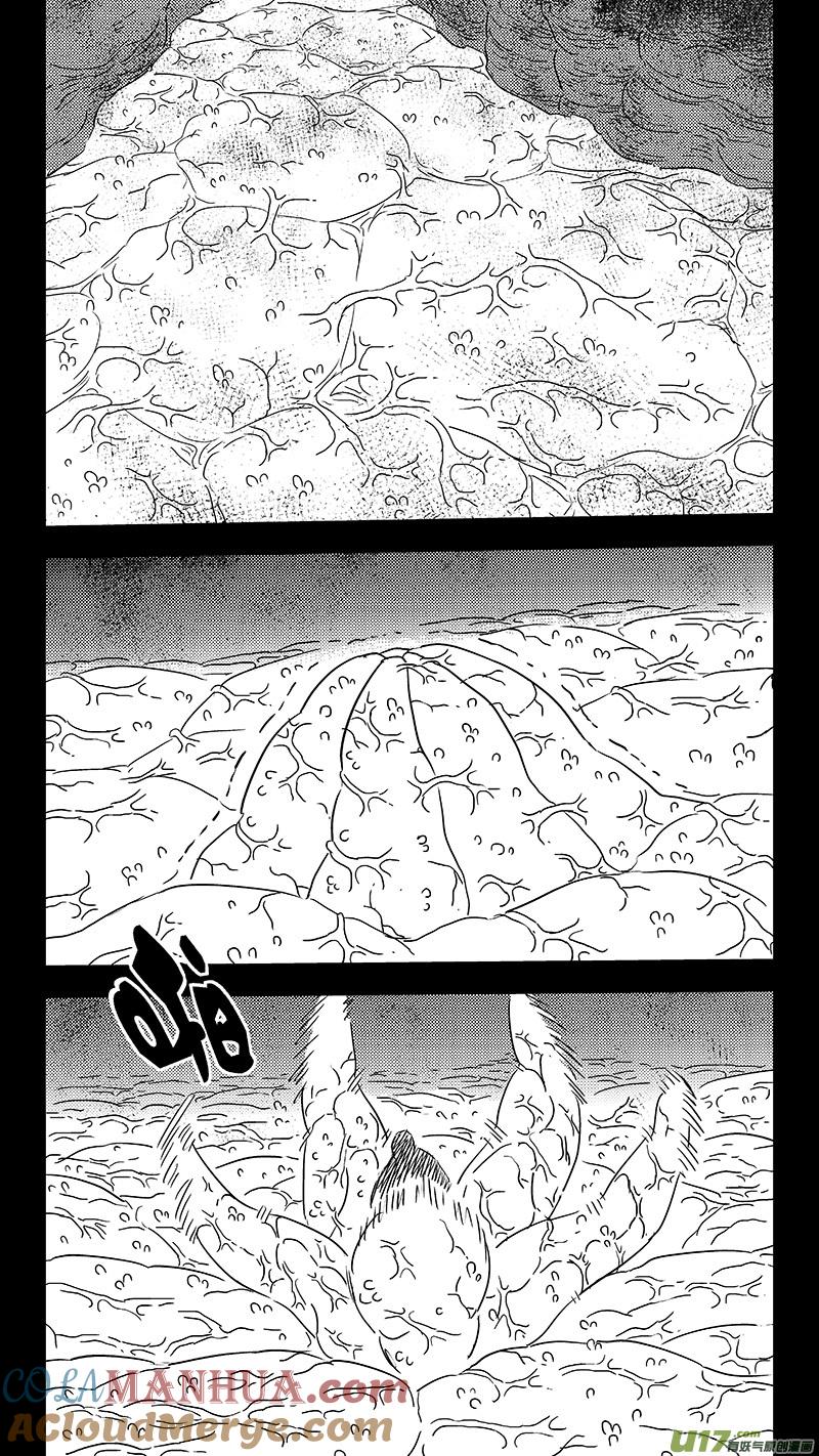 虎x鹤 妖师录 322 乱局（六） 第11页