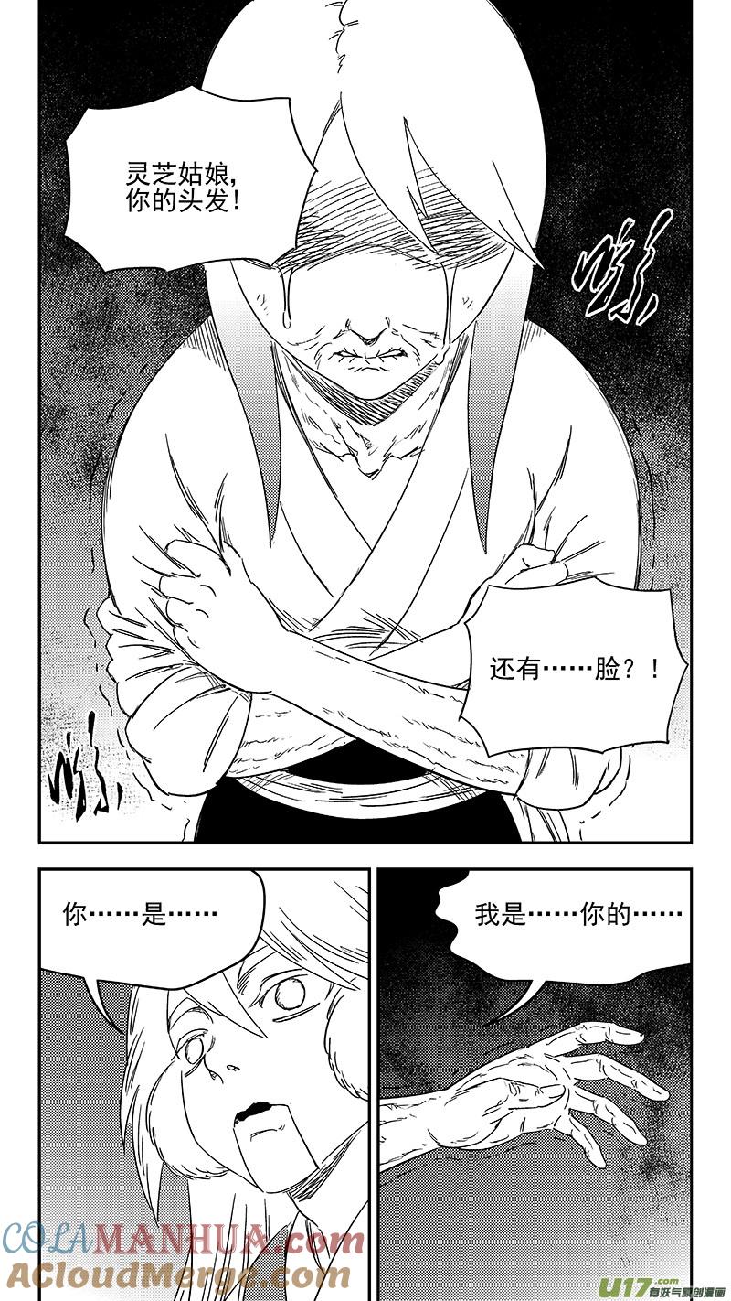 虎x鹤 妖师录 325 乱局（九） 第13页