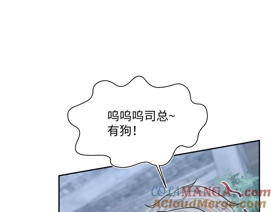 【快穿】绝美白莲在线教学 359 狗男人狗鼻子却怕狗 第65页