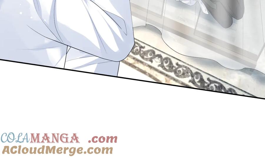 【快穿】绝美白莲在线教学 365 抢新郞？抢新娘！ 第101页