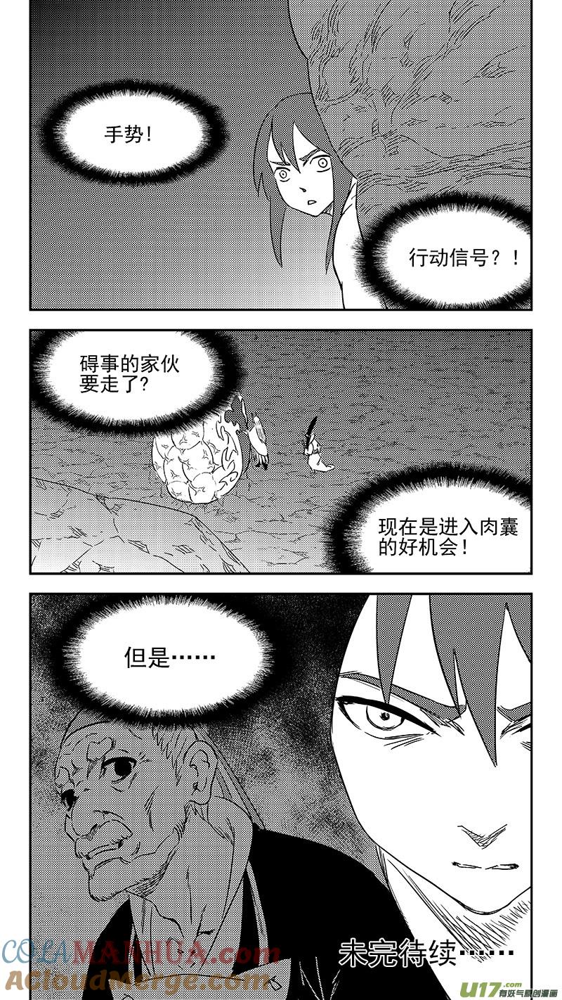虎x鹤 妖师录 334 信号 第13页