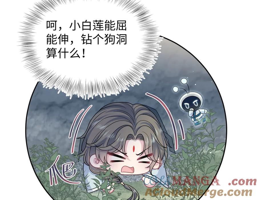 【快穿】绝美白莲在线教学 370 锦鲤成精 第85页