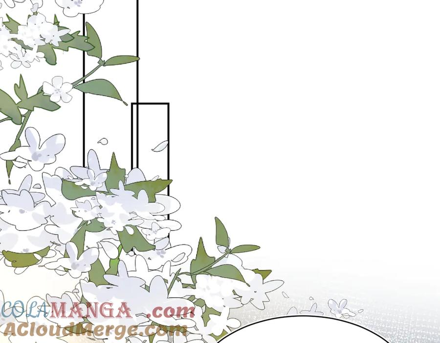 【快穿】绝美白莲在线教学 370 锦鲤成精 第25页