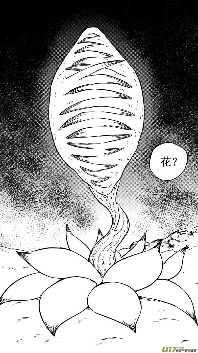 虎x鹤 妖师录 第380话 花园 第4页
