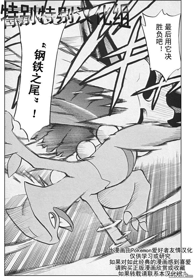 神奇宝贝特別篇 - 第307话 - 第14张图