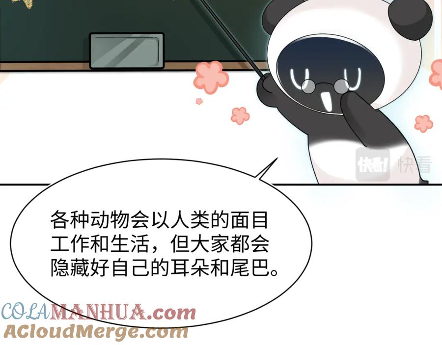【快穿】绝美白莲在线教学 第66话 与君执手白头 第73页