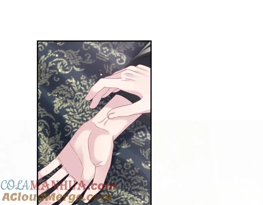 【快穿】绝美白莲在线教学 第66话 与君执手白头 第37页
