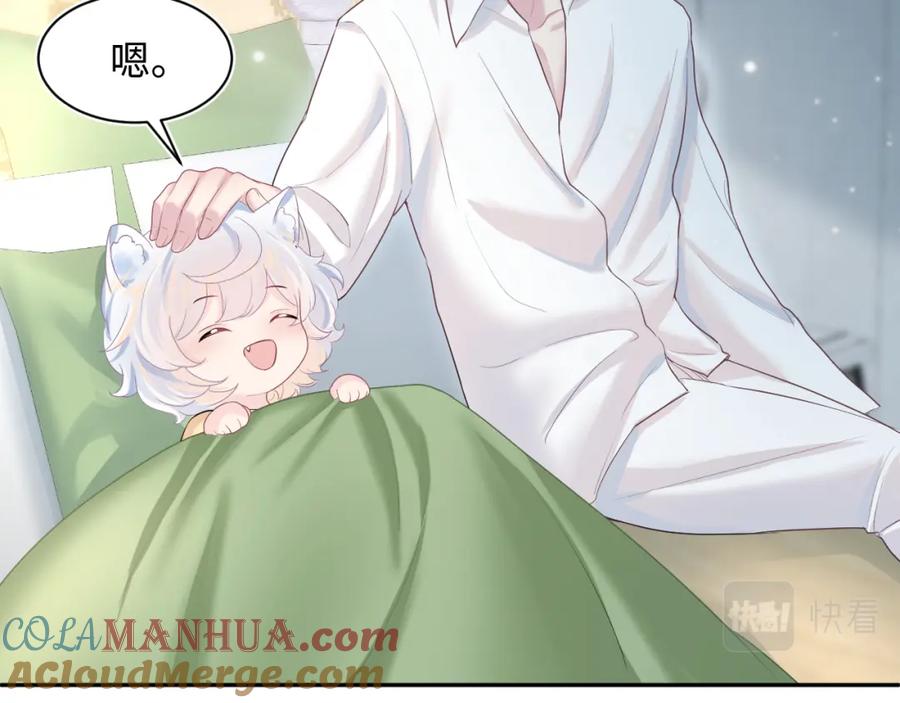 【快穿】绝美白莲在线教学 第75话 得寸进尺的大猫猫 第34页