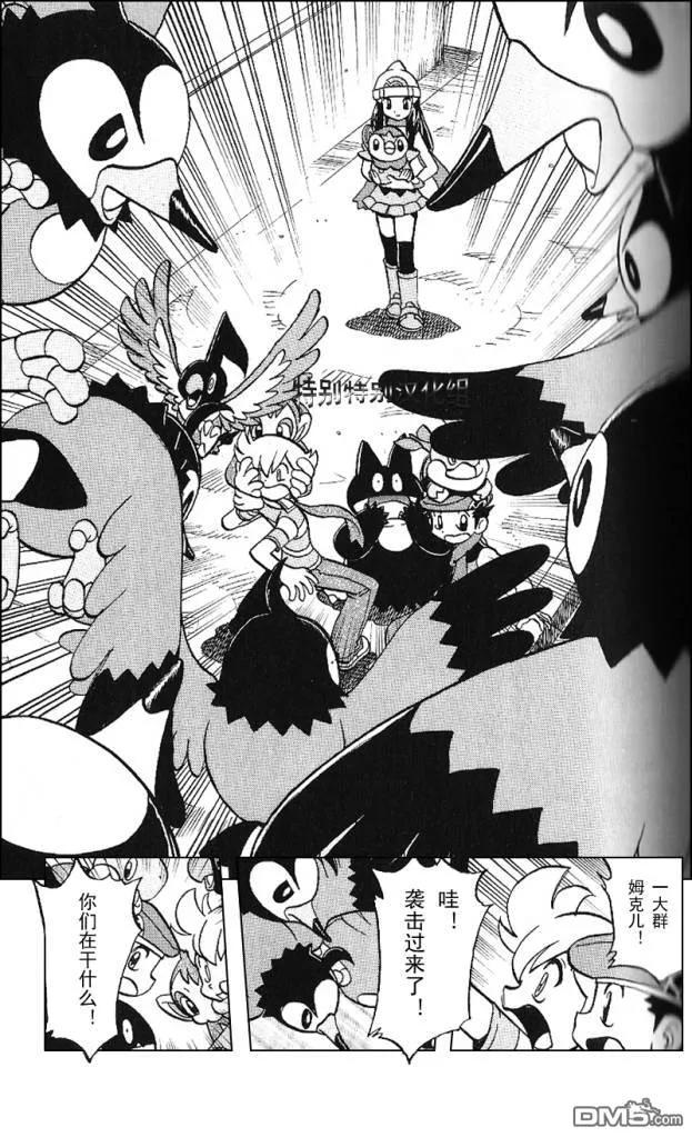 神奇宝贝特別篇 - 第338话 - 第28张图