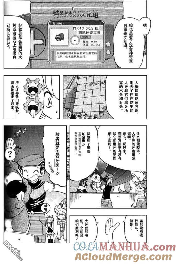 神奇宝贝特別篇 - 第339话 - 第19张图