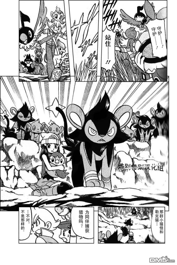 神奇宝贝特別篇 - 第340话 - 第12张图