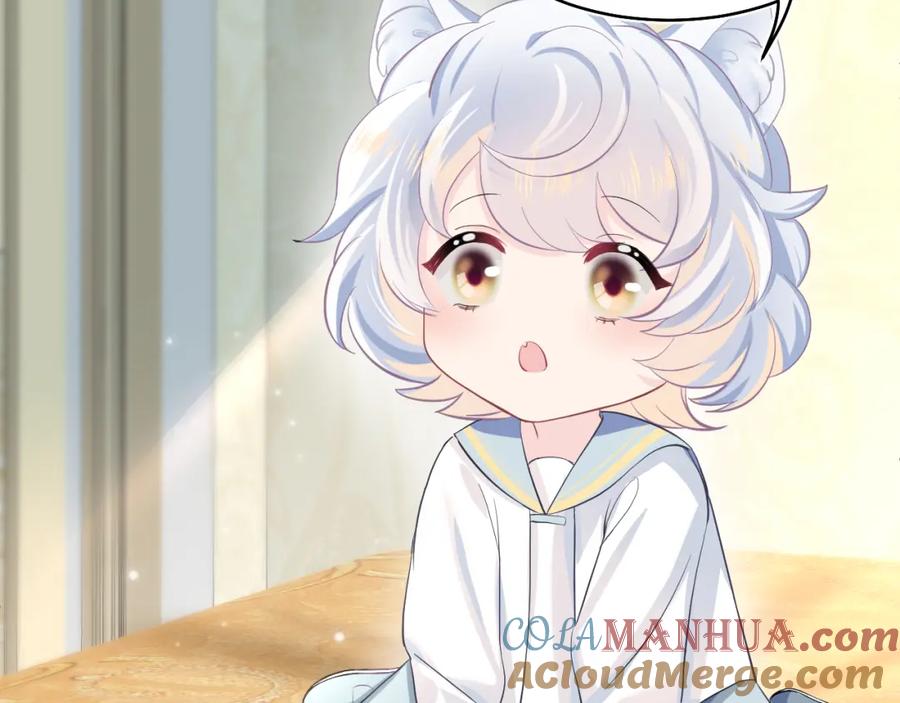 【快穿】绝美白莲在线教学 第82话 求摸耳朵 第13页